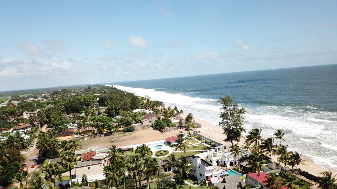 Dia Da Costa Do Marfim No Brasil Ser Comemorado No Museu De Hist Ria E