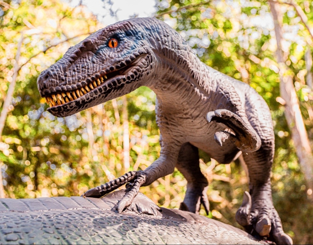 Terra dos Dinos maior parque de dinossauros do mundo será inaugurada em Miguel Pereira Eu Rio