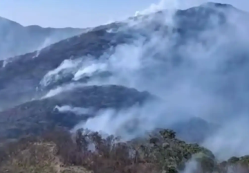 Governo investiga mais de 20 pessoas por incêndios florestais no Rio