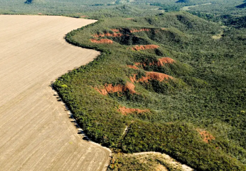 Cerrado: desmatamento emite 135 milhões de toneladas de CO2 desde 2023