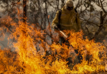 Entenda as linhas de investigação dos incêndios florestais no país