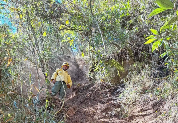 Exército é multado em 6,5 milhões por incêndio florestal em parque