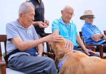 Projeto prevê terapia assistida por animais para melhorar a saúde dos idosos