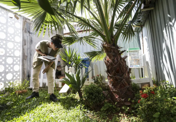 Prevenção de dengue deve ir além de mensagens sobre hábitos e cuidados