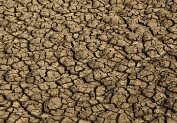 Desertifica&ccedil;&atilde;o no Brasil amea&ccedil;a seguran&ccedil;a h&iacute;drica e alimentar