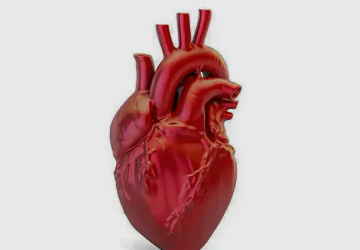 A cada 72 segundos, uma pessoa morre por doen&ccedil;a cardiovascular no pa&iacute;s
